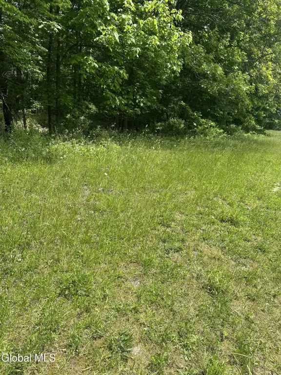 Picture 14