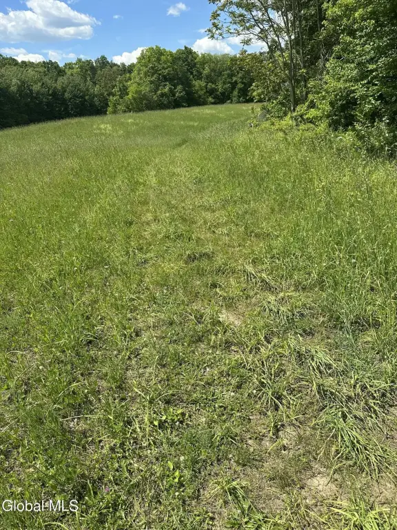 Picture 15