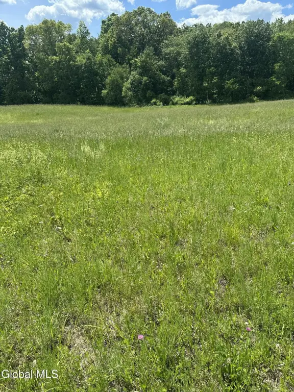 Picture 16