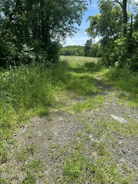 Picture 11