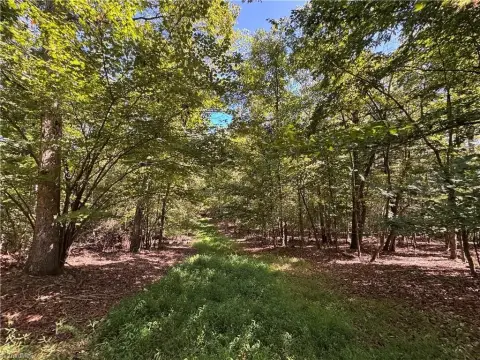 Picture of Agricultural land at Nc 268 11218, Elkin, NC