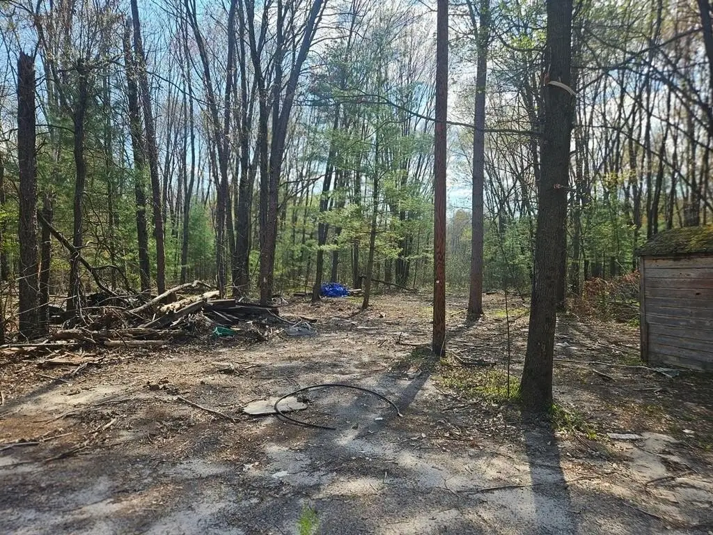 Picture 5