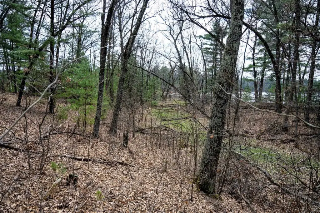 Picture 15