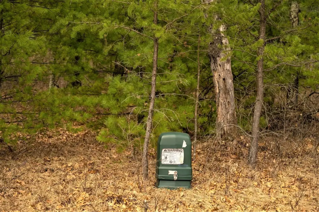 Picture 16