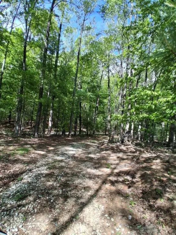 Picture 21