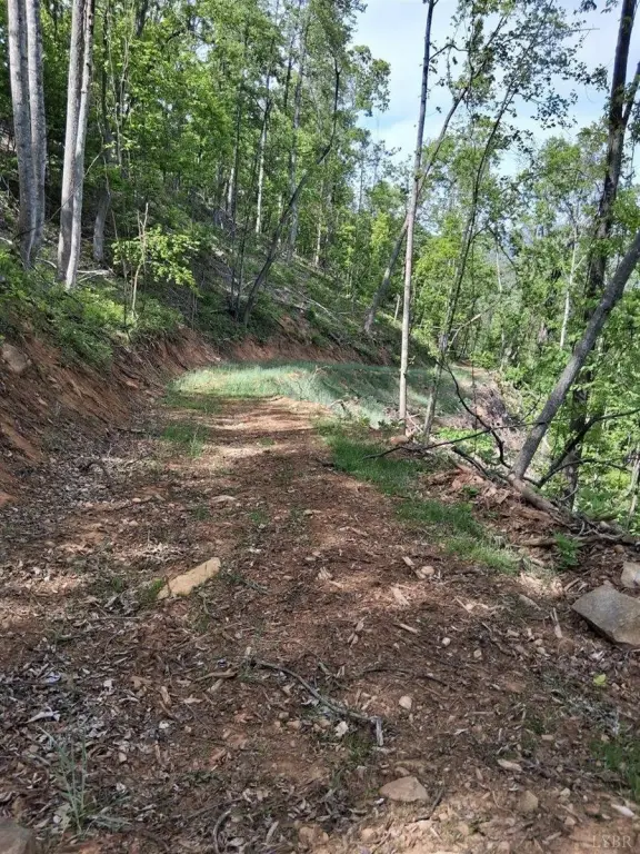 Picture 12