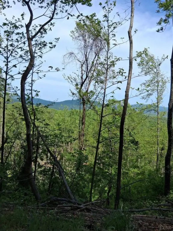 Picture 11