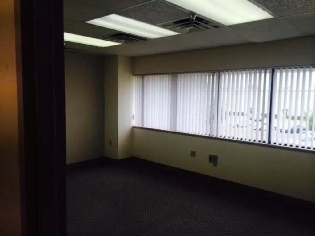 Picture 5