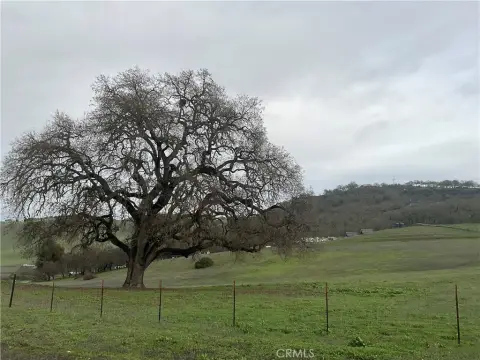 Recreational Land Near Lake Nacimiento