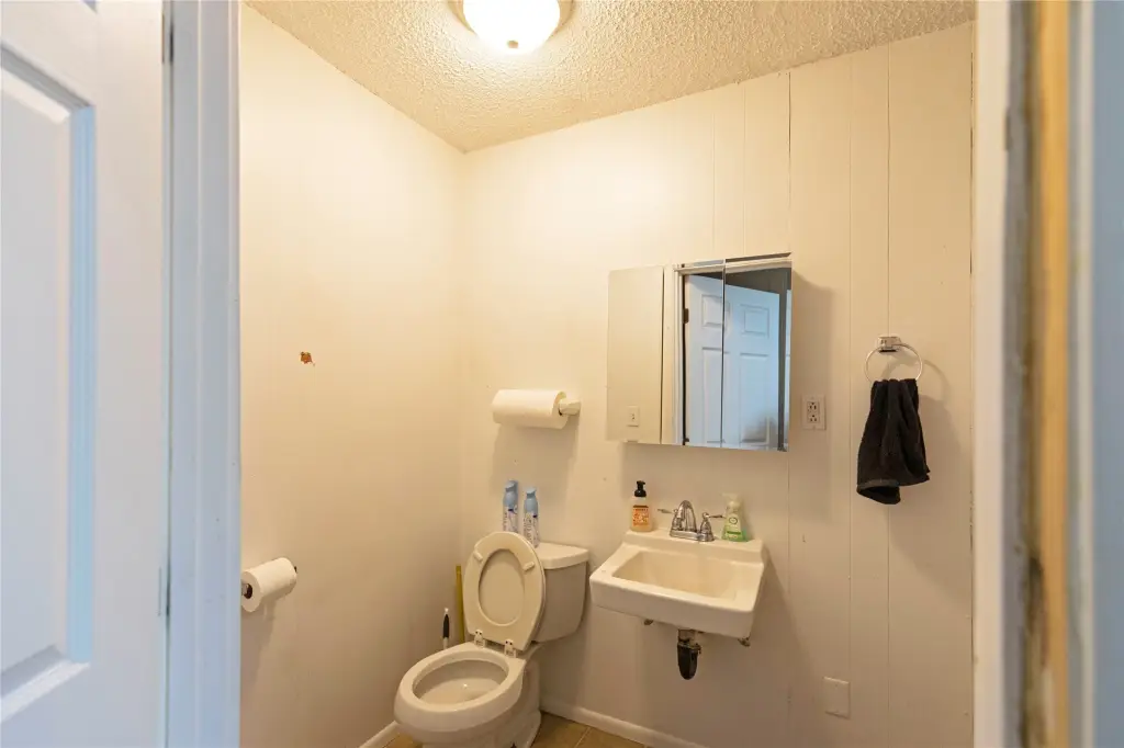 Picture 21