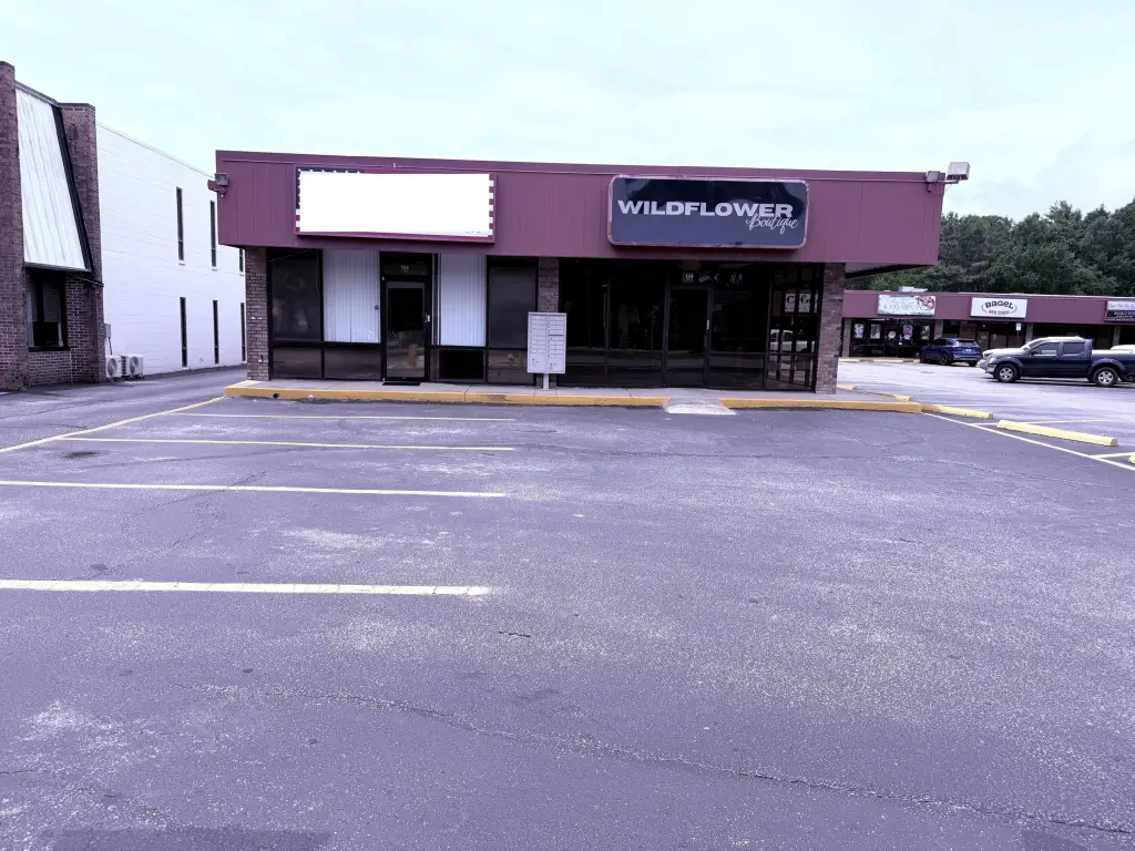 Picture 17