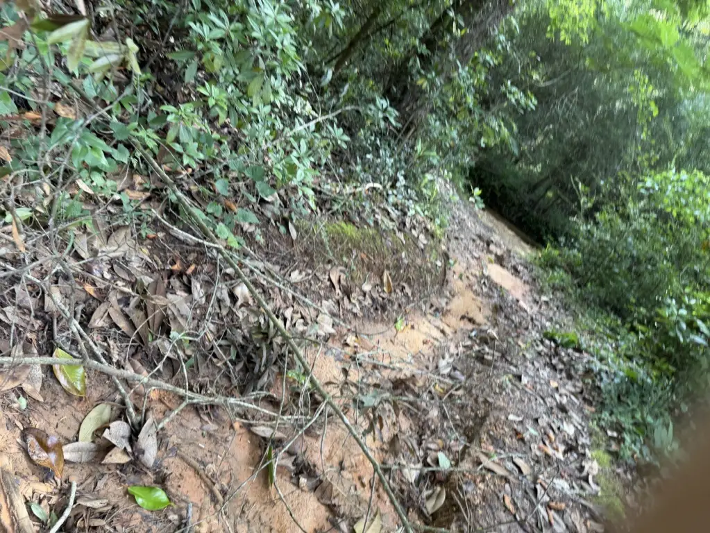 Picture 18