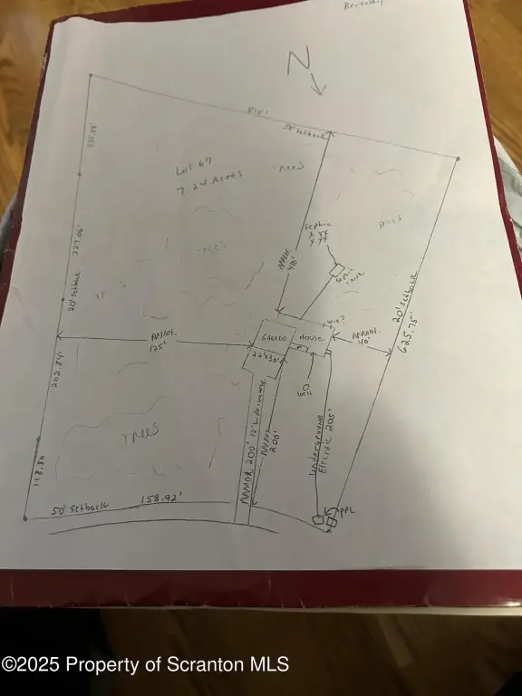 Picture 3
