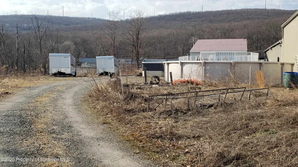 Picture 21