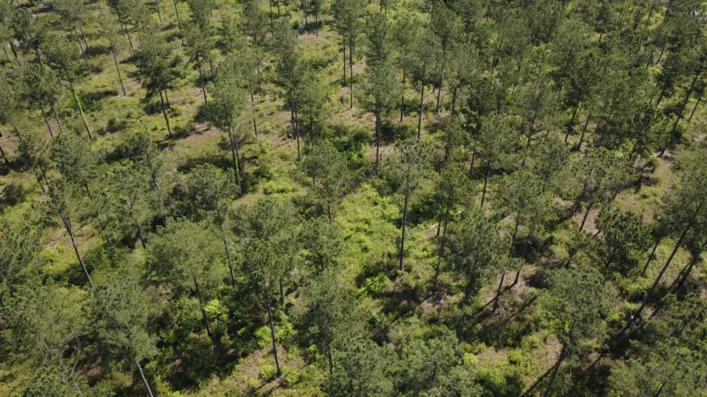 Picture 10