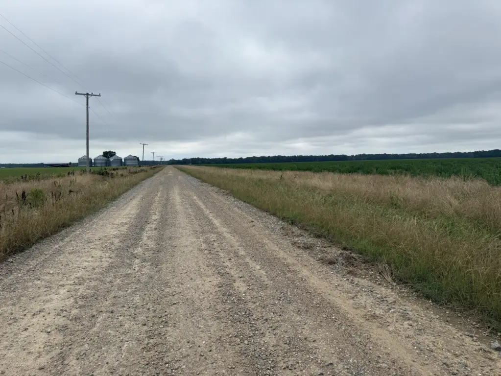 Picture 43