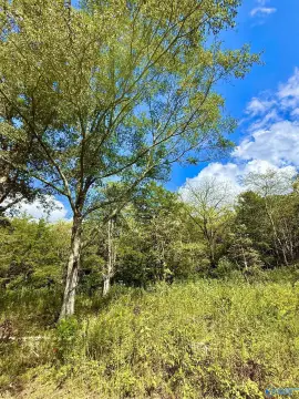 Serene 5-Acre Parcel in Decatur