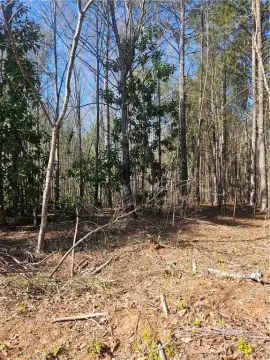 Wooded Corner Lot in Liberty