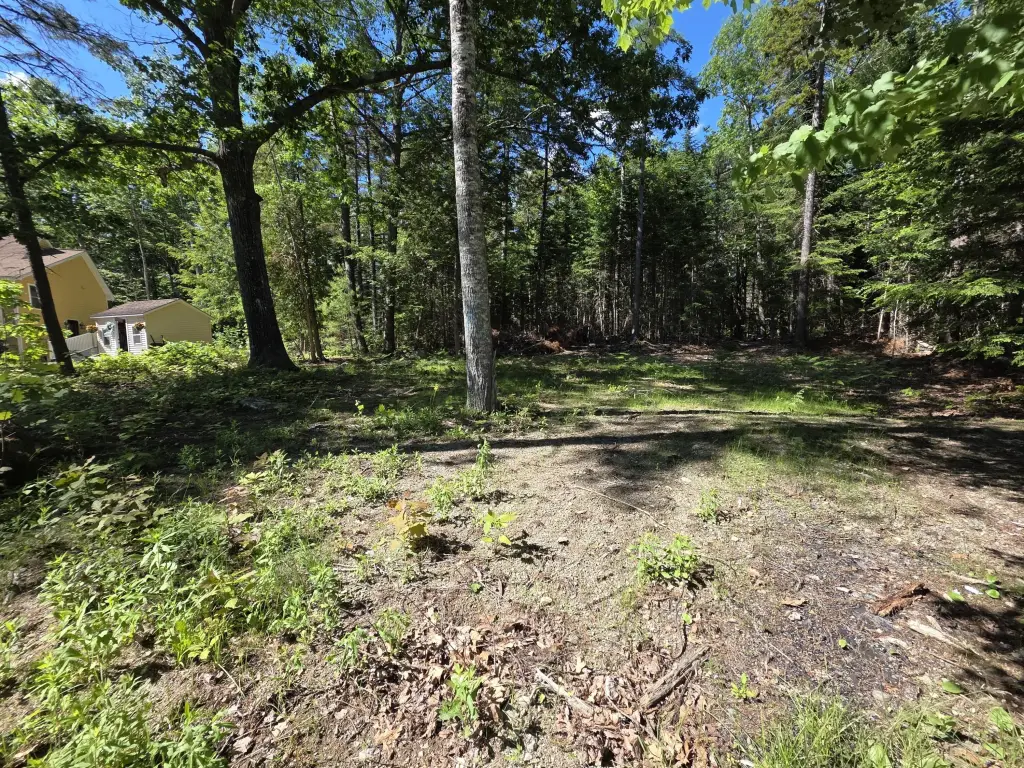 Picture 5