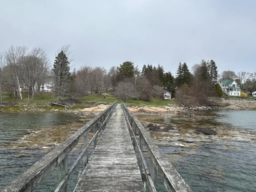 Picture 5