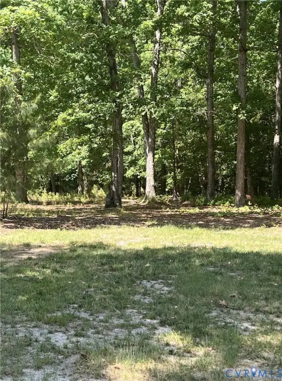 Picture 2