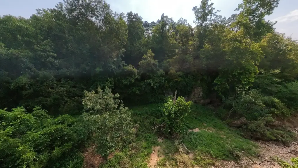 Picture 19