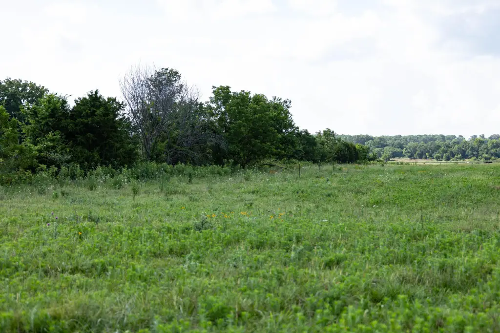 Picture 19