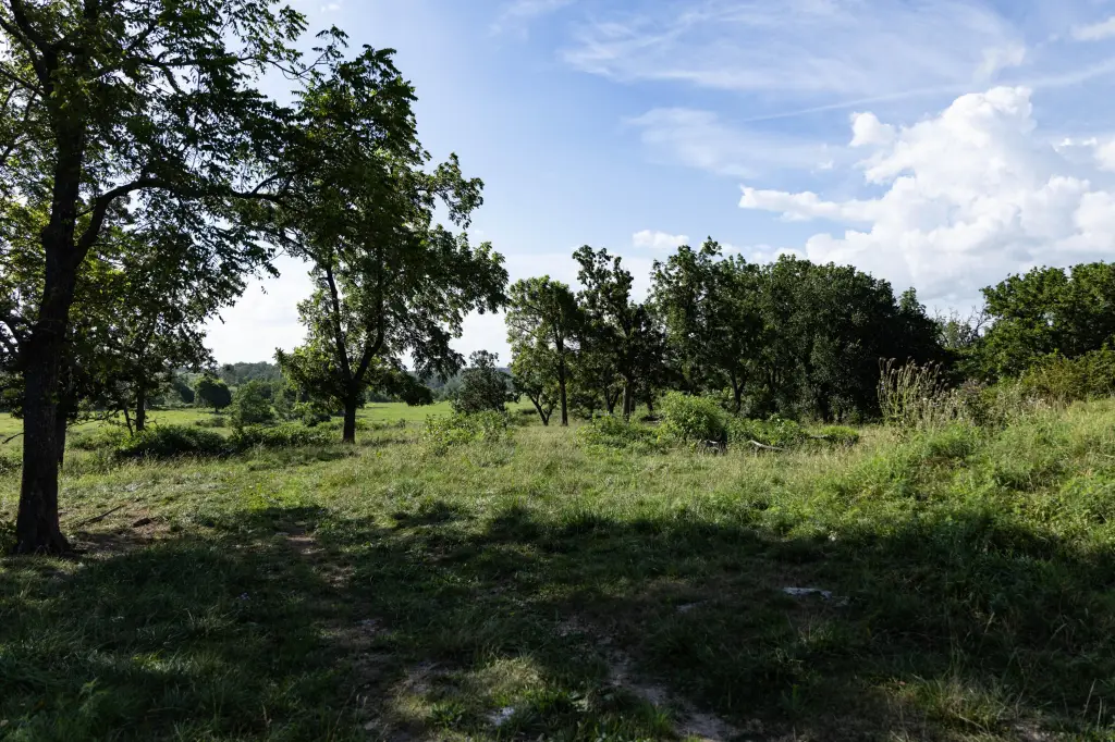 Picture 22
