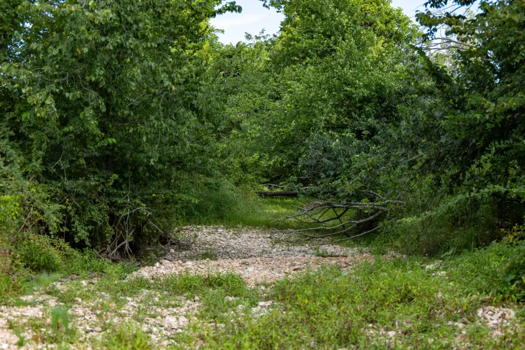 Picture 14