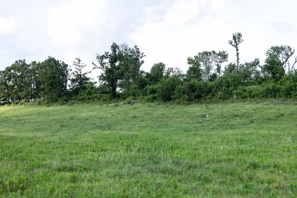 Picture 21