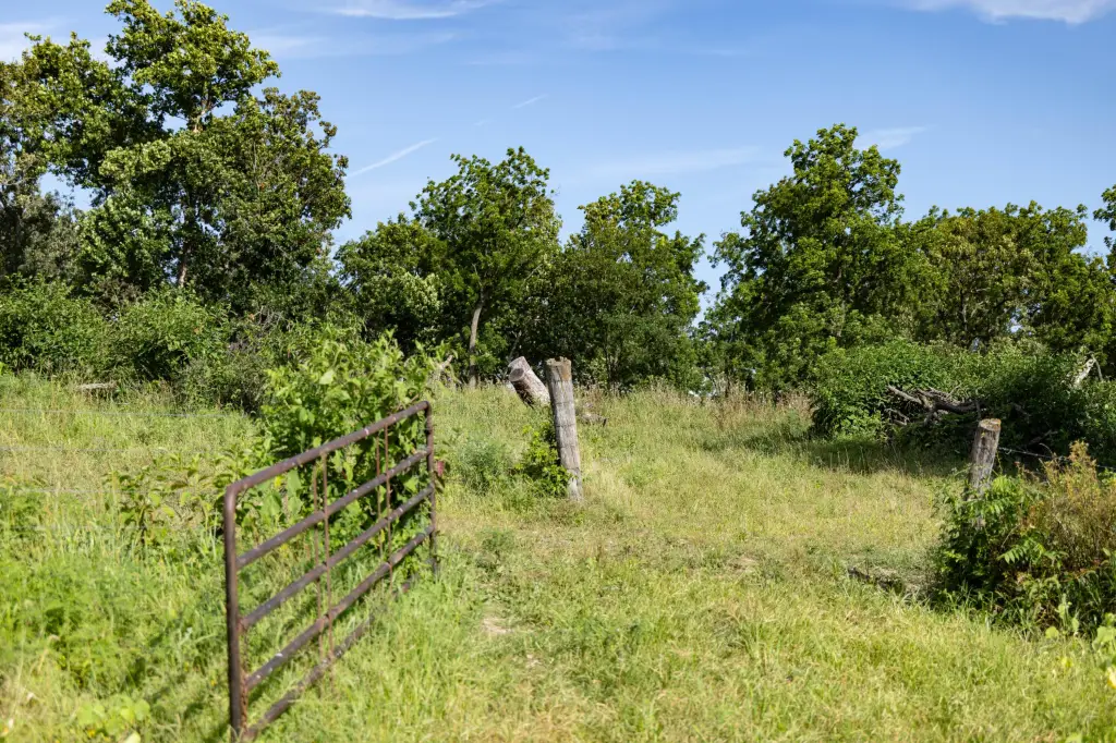 Picture 41