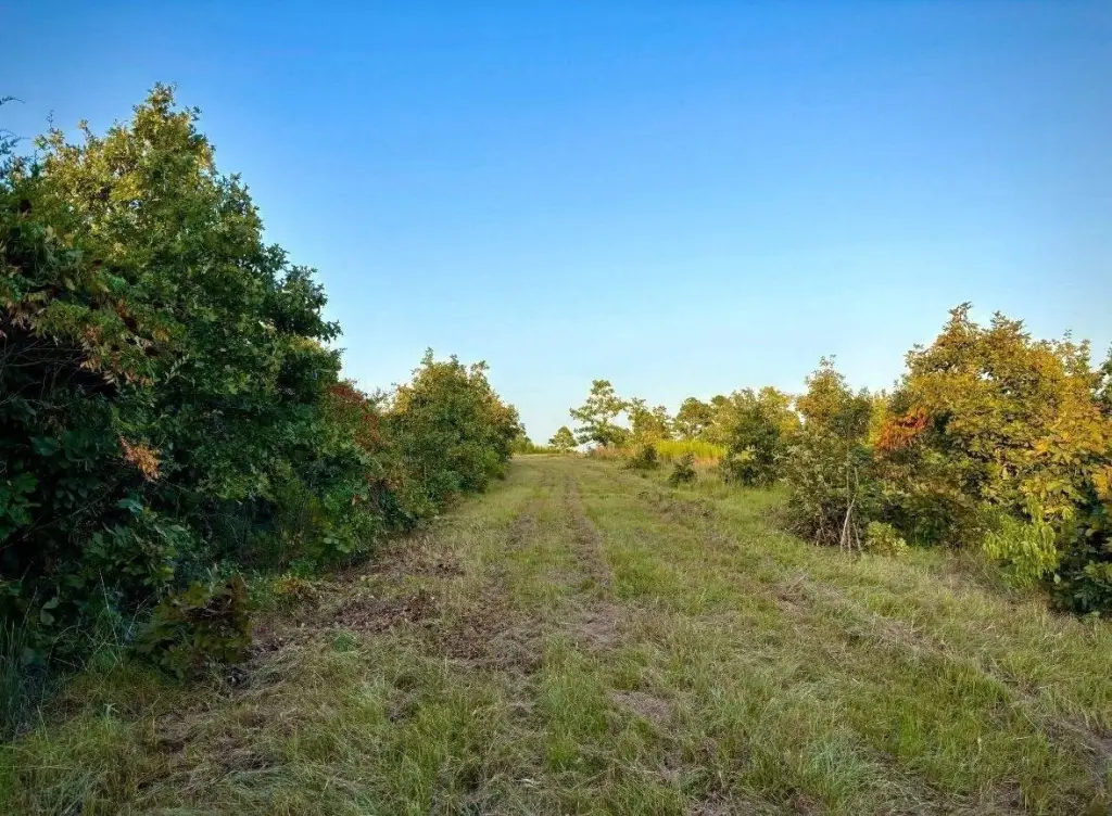 Picture 6