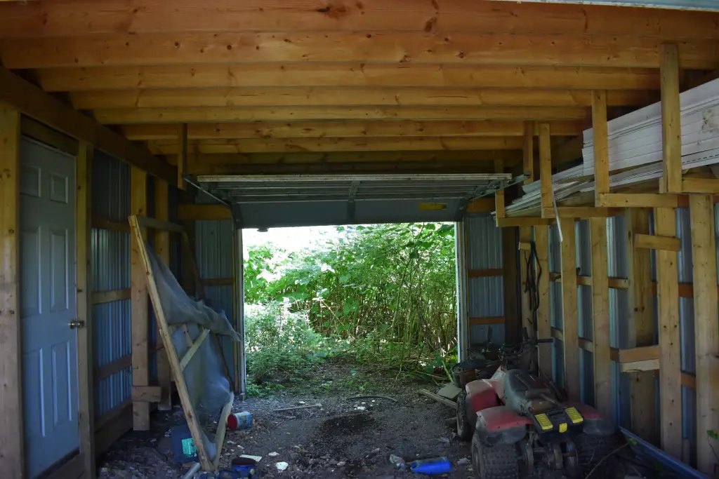 Picture 6
