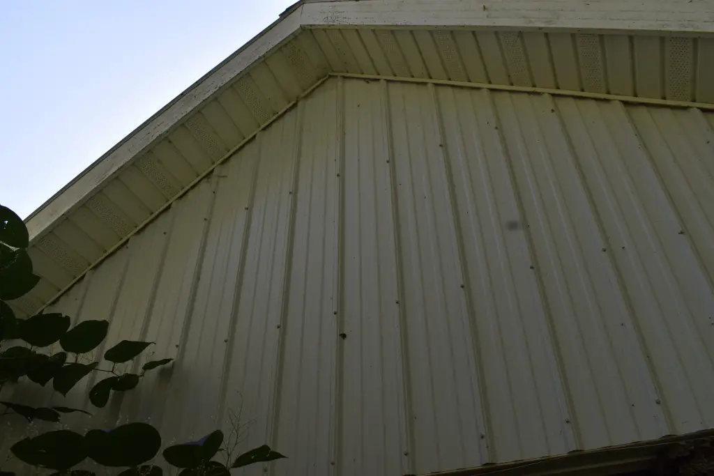 Picture 10