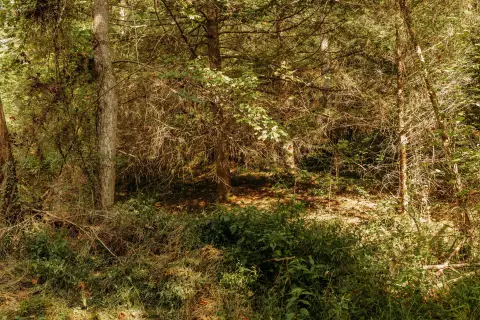 Campton, KY Land For Sale