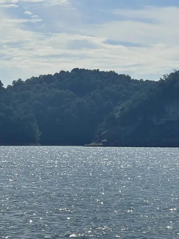 Picture 5