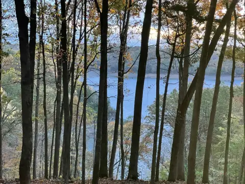 Lakefront Land in Nancy, KY