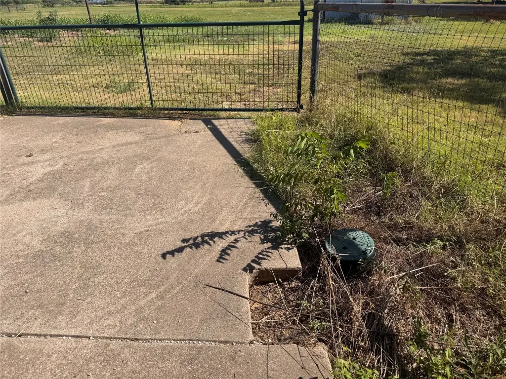 Picture 19