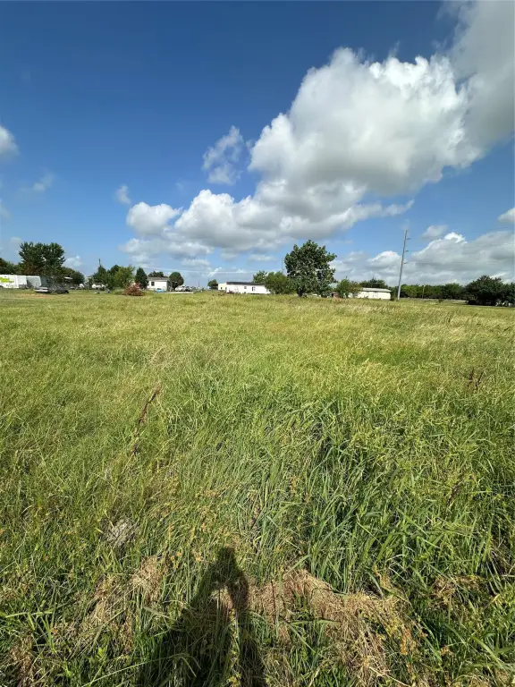 Picture 6