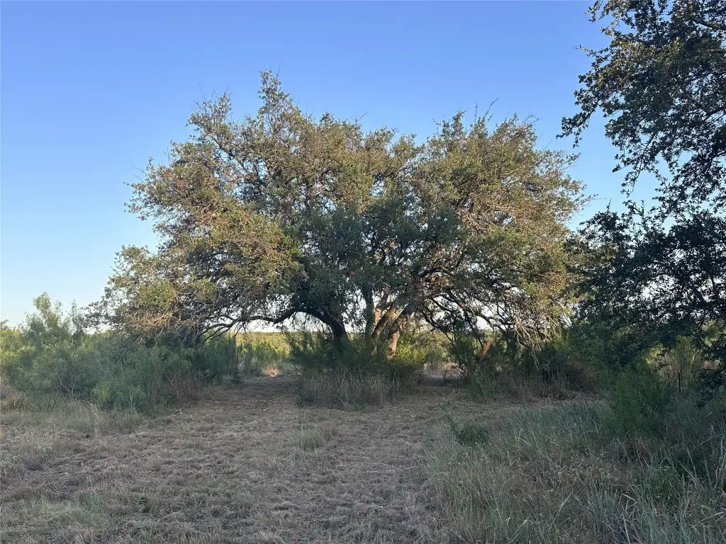 Picture 21