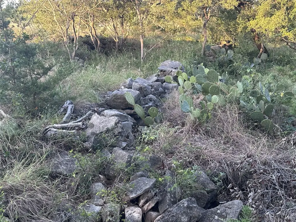 Picture 25