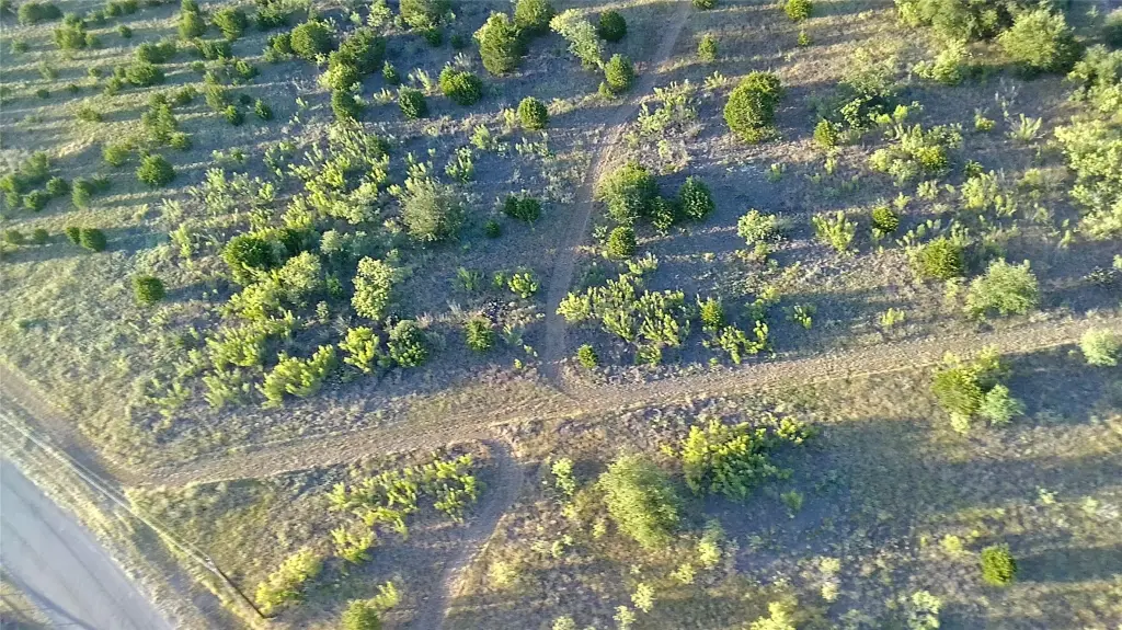 Picture 16