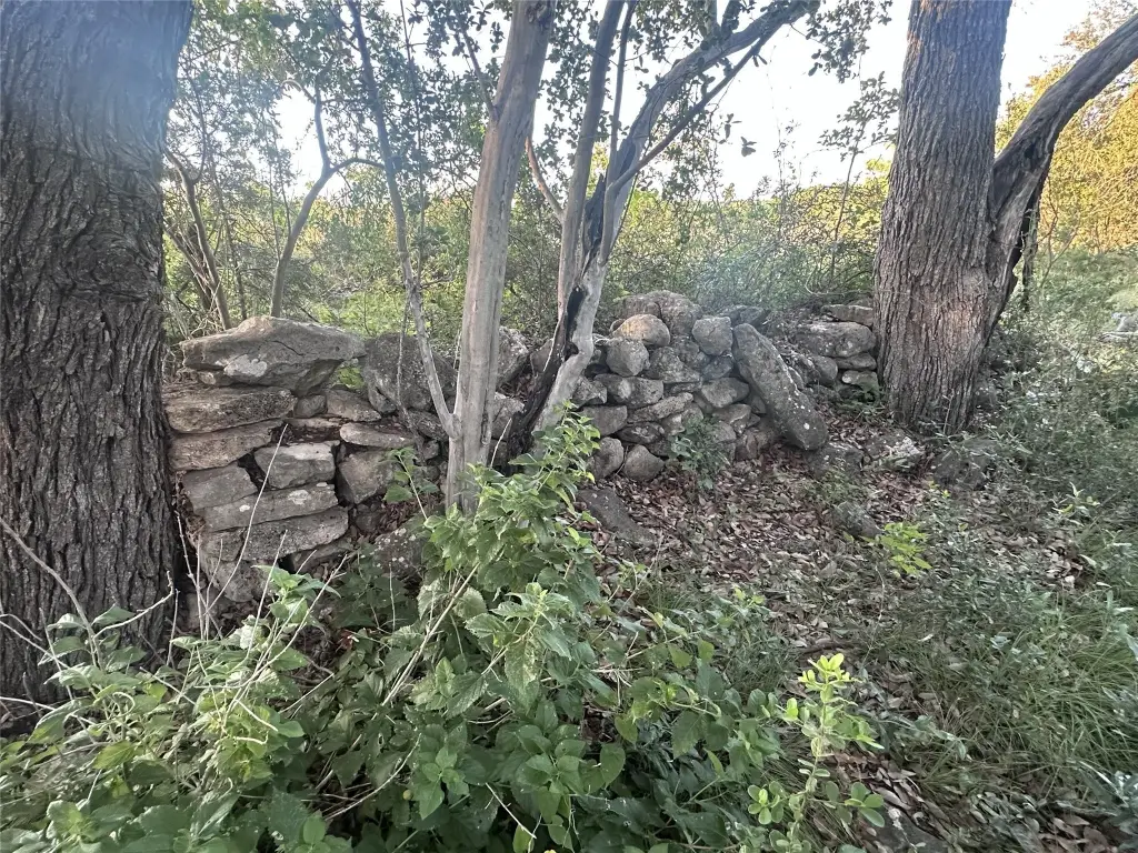 Picture 24