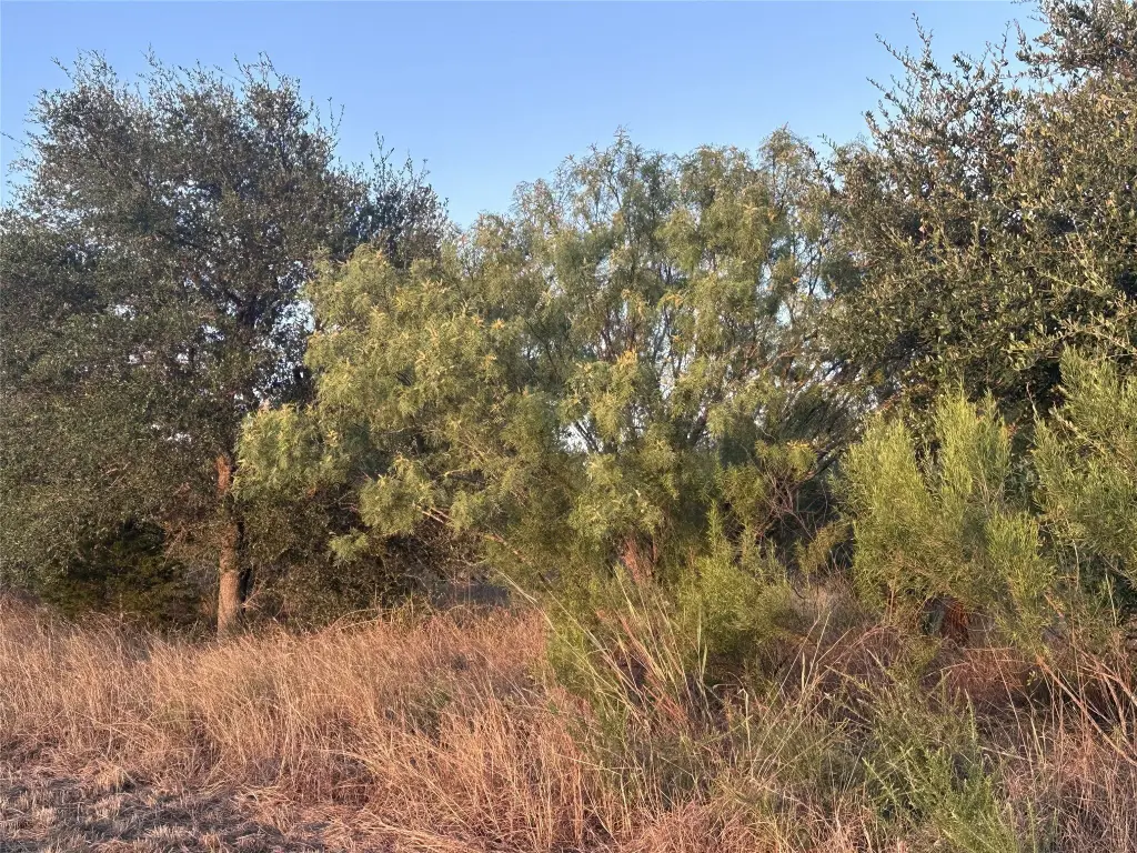 Picture 27