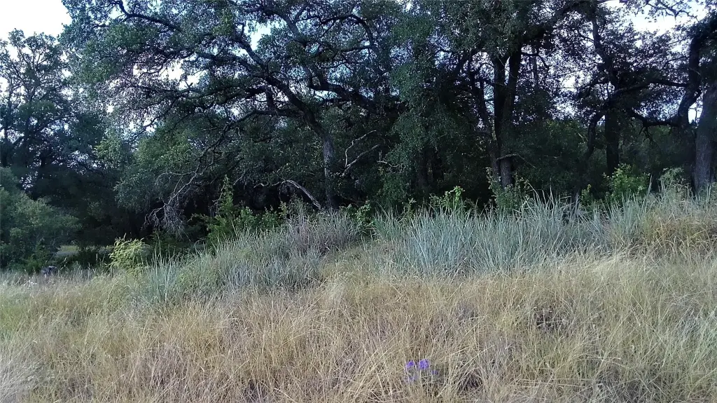 Picture 12