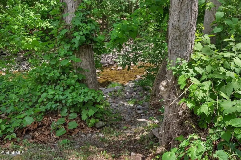 Picture 47
