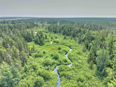 Wooded and Wetland Recreation Land