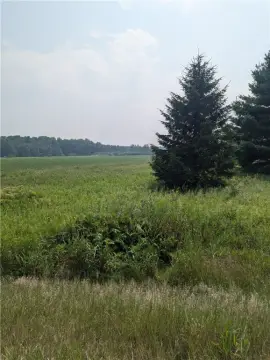 Recreational Land Near Holcombe, WI