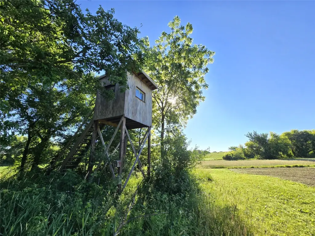 Picture 14