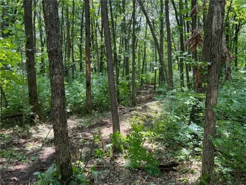 Wooded Property with Lake Access